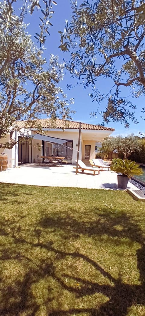 Garden, Swimming pool