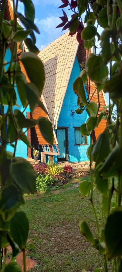 Property building, Garden, Garden view