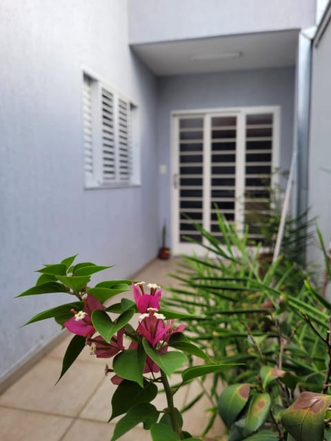 Facade/entrance, Garden view