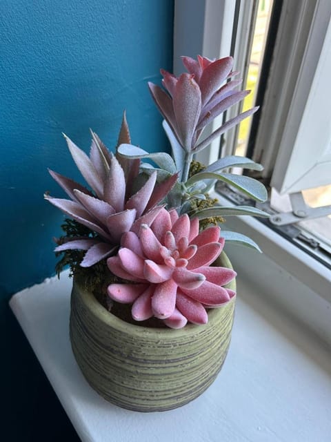 Cosy centrally located house House in Nottingham