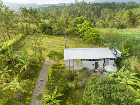 Bird's eye view, Garden view