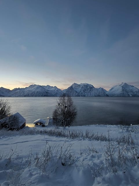 Lyngenfjord View Luxury tent in Troms Og Finnmark
