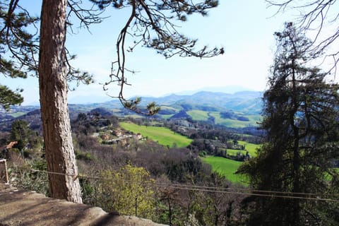 Natural landscape