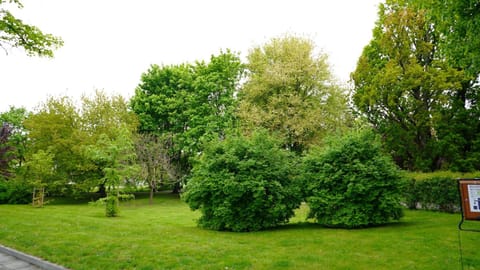Natural landscape, View (from property/room)