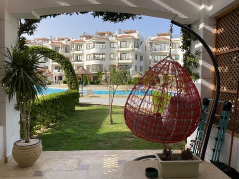Property building, Day, Garden, Garden view, Pool view, Swimming pool, sunbed