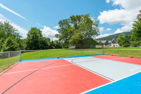 Sleeps 20 Sport Court Pool Hot Tub Playground House in Mills River