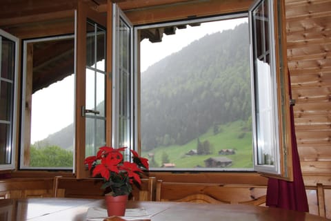 Property view