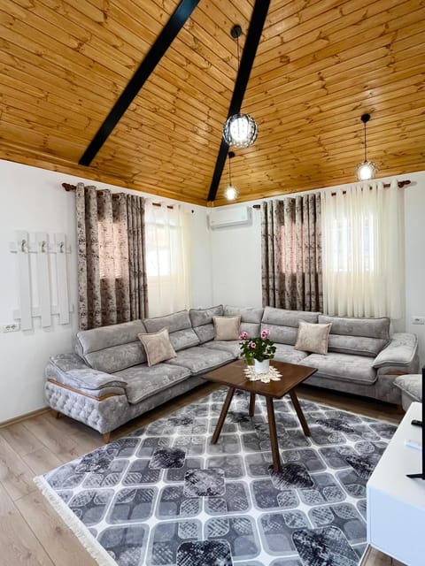 Living room, Seating area, Dining area, air conditioner
