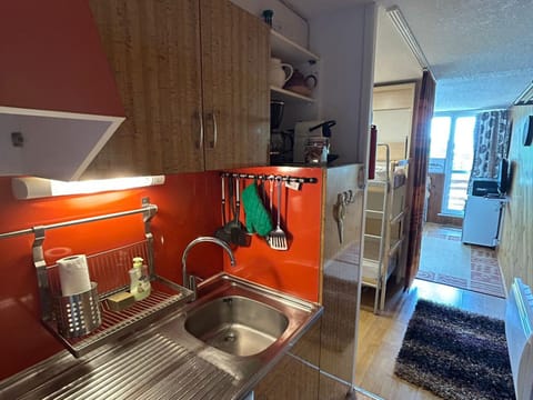 Studio 4 pers au pied des pistes avec garage - FR-1-814-127 Apartment in Besse-et-Saint-Anastaise