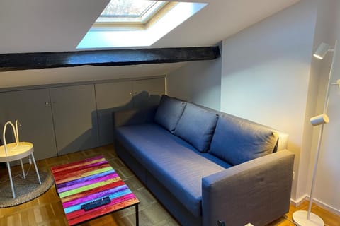 Lovely studio in the 9th arrondissement near the quays Apartment in Lyon