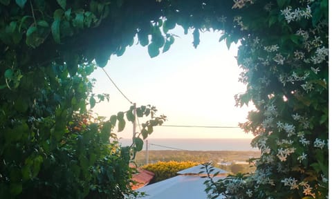 Day, Natural landscape, Garden, Garden, Garden view, Sea view