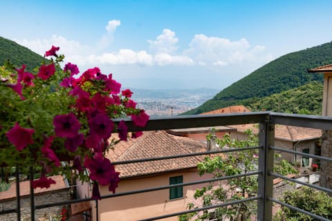 Alba apartments Apartment in Province of Massa and Carrara