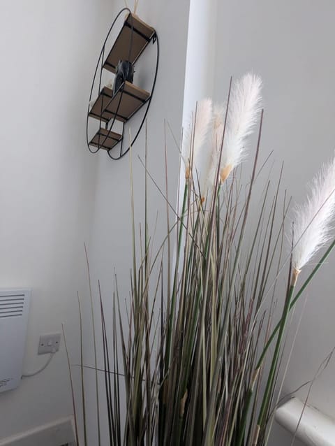 Island House Apartment in England