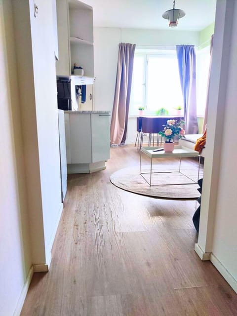 Amazing Central Apartment Helsinki Apartment in Helsinki