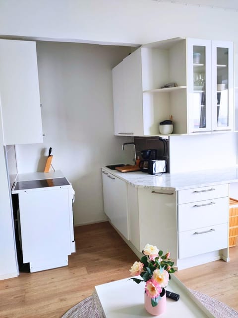 Amazing Central Apartment Helsinki Apartment in Helsinki