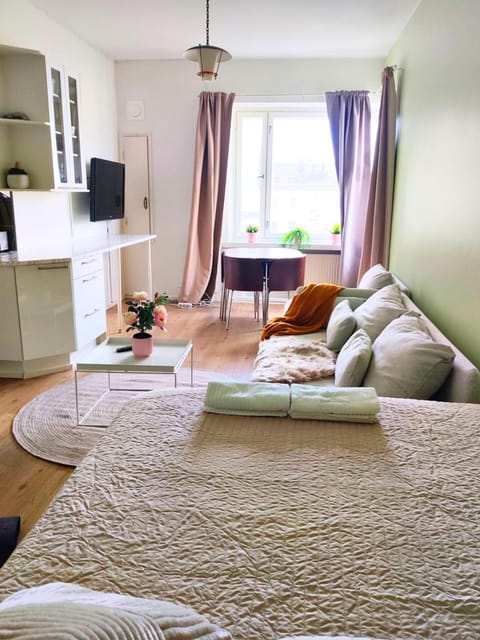 Amazing Central Apartment Helsinki Apartment in Helsinki