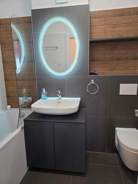 The Mustard Loft Apartment in Timisoara