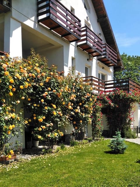 Property building, Spring, Garden, Garden view