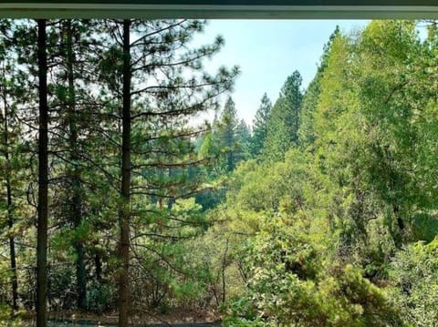 Enjoy the outdoors 1st Apple hill exit Tahoe House in Placerville