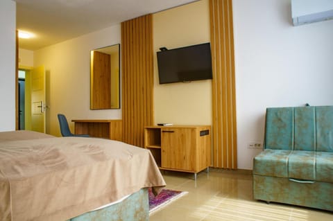 Bed, TV and multimedia, Living room, Photo of the whole room, Seating area, Bedroom, wardrobe, air conditioner