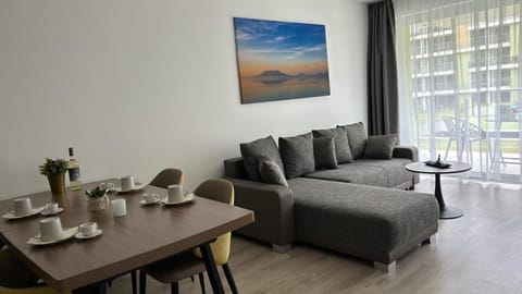 Living room, Photo of the whole room