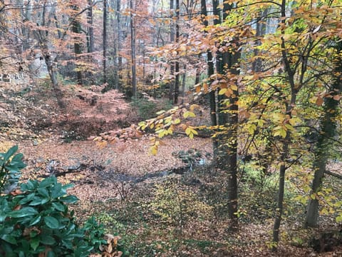 Natural landscape, View (from property/room)