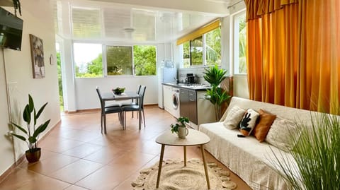 TV and multimedia, Living room, Seating area, Garden view