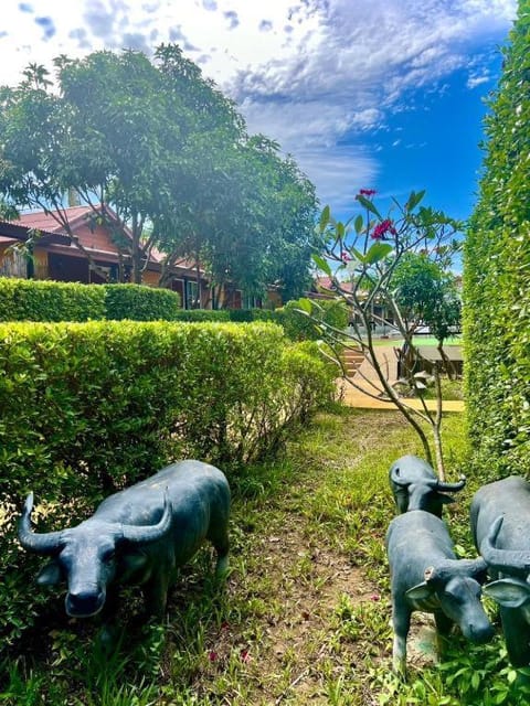 Day, Garden, Garden view