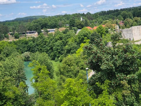 Shamrock Apartment in Lika-Senj County