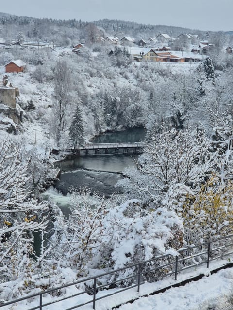 Shamrock Apartment in Lika-Senj County