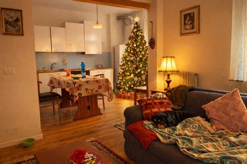 Appartamento luna, vicino centro storico Apartment in Friuli-Venezia Giulia