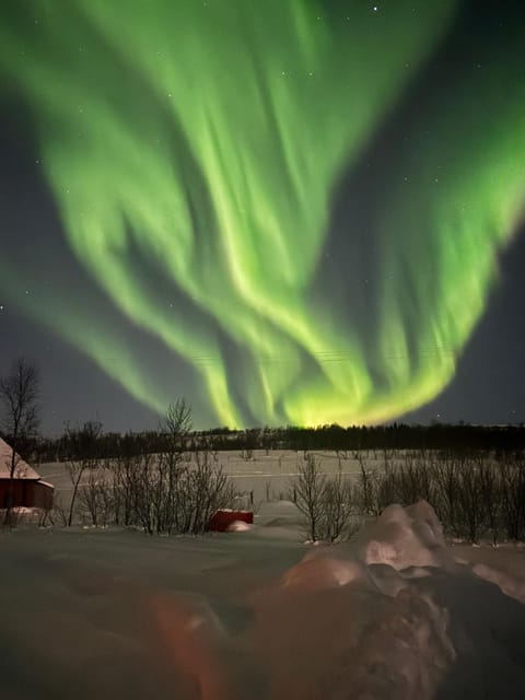 Mellom fjell og fjære Apartment in Tromso
