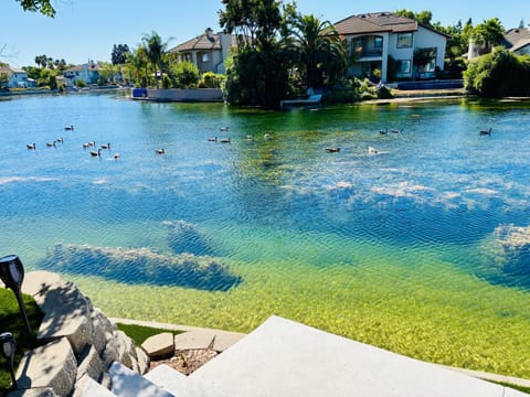 Experience Serenity Luxe 4BDR Lake House 25ft Pool House in Elk Grove