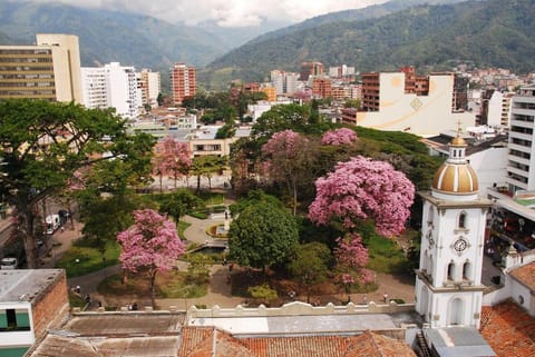 Property view