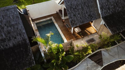 Property building, Patio, Day, Garden, Garden view, Pool view, Swimming pool