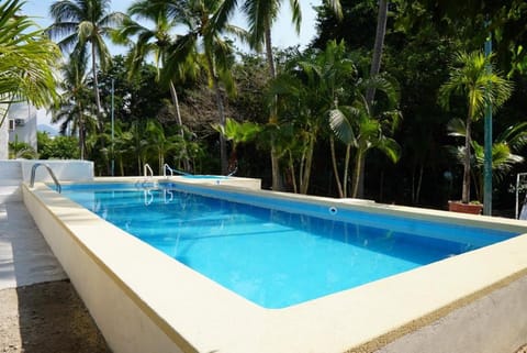 Garden, Garden view, Swimming pool