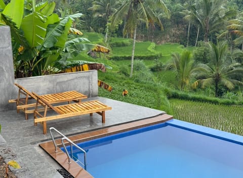 Swimming pool, Swimming pool, Swimming pool