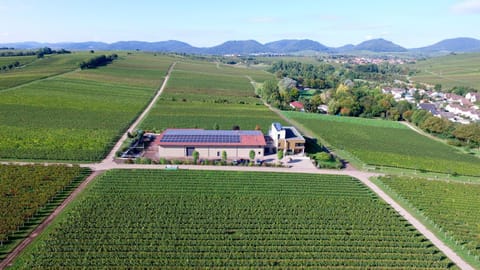 Property building, Natural landscape