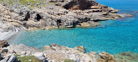 Nearby landmark, Beach