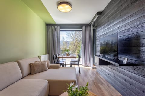 Communal lounge/ TV room, TV and multimedia, Living room