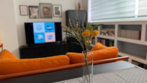 Communal lounge/ TV room, Living room, Evening entertainment