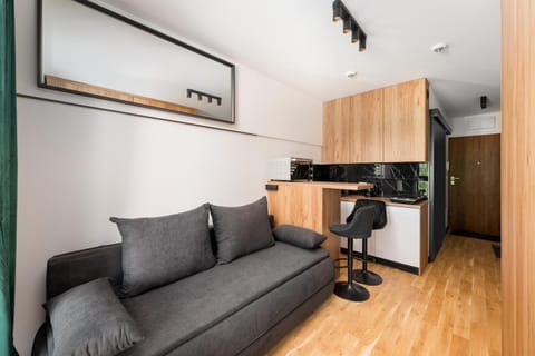 Kitchen or kitchenette, Living room, Seating area, Dining area, oven, stove