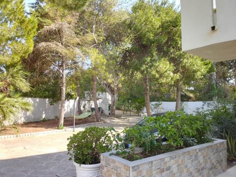 Day, Garden, Garden view