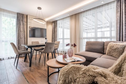 TV and multimedia, Living room, Dining area, air conditioner