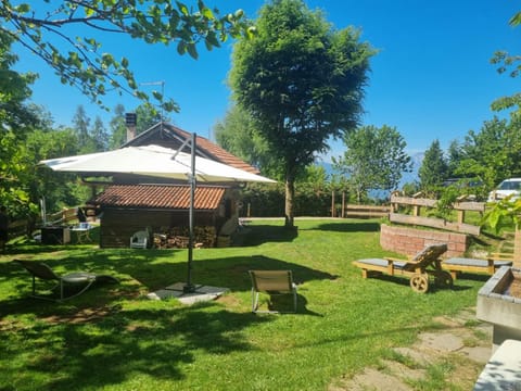 Spring, Day, Natural landscape, Garden, Garden view