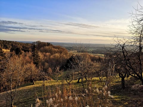 Natural landscape