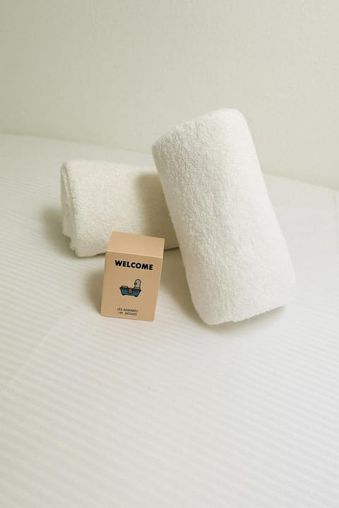 Charming studio for 2 Quartier Terreaux Croix-Rousse Apartment in Lyon