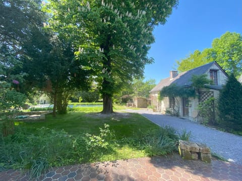 Natural landscape, Garden, Garden view