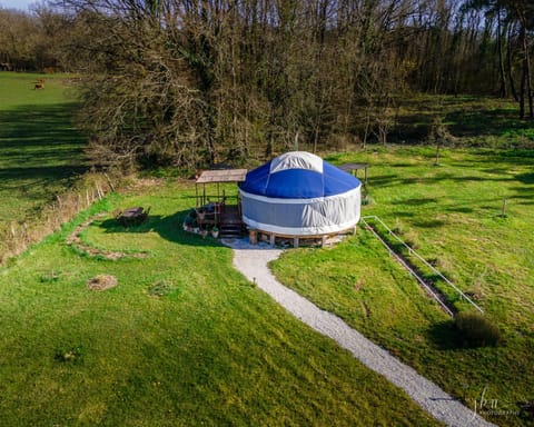 Spring, Day, Natural landscape, Garden, Garden view