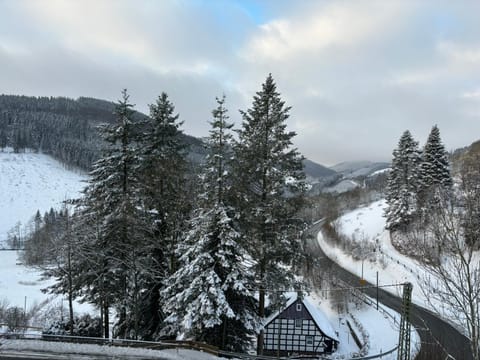Natural landscape, Winter, Mountain view